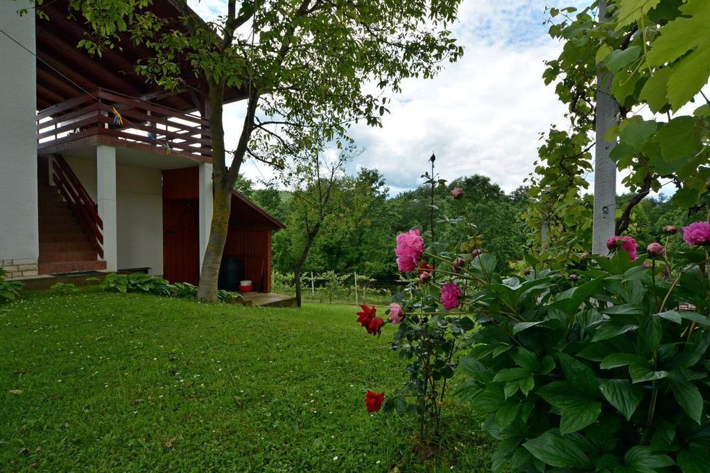 Korana Apartment Slunj Rum bild